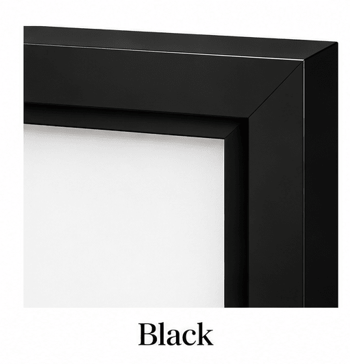 Elevate Your Artwork with a Floating Frame! - Sense for Decor