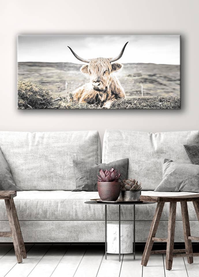 Animal Wall Art: Highland Cattle (Wood Frame Ready To Hang) - Sense for Decor