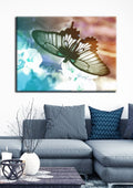 Insect Wall Art: Butterfly 1 (Wood Frame Ready To Hang)