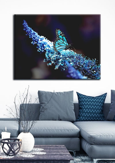 Insect Wall Art: Butterfly 3 (Wood Frame Ready To Hang) - Sense for Decor