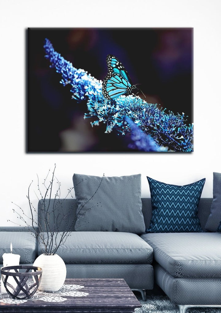 Insect Wall Art: Butterfly 3 (Wood Frame Ready To Hang) - Sense for Decor