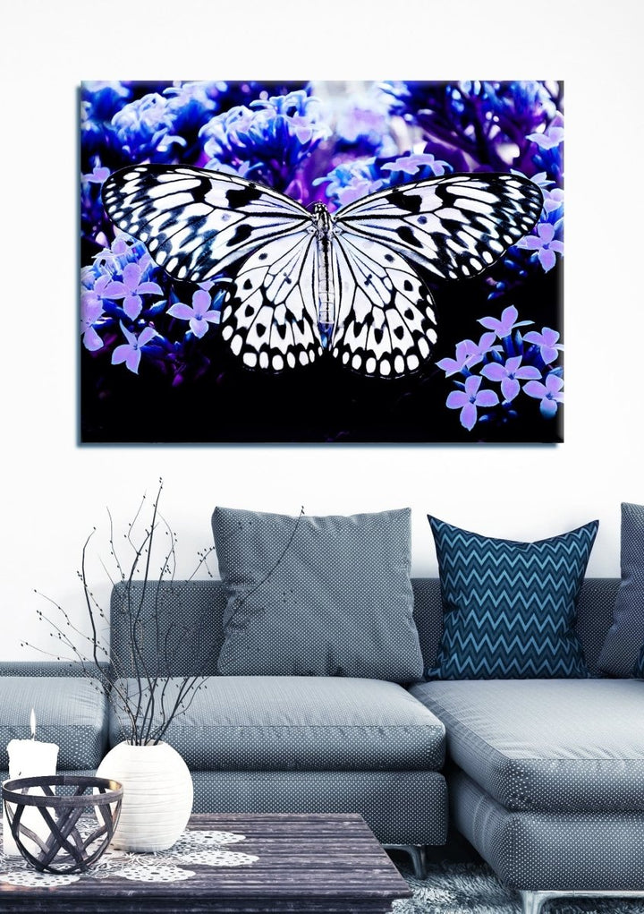 Insect Wall Art: Butterfly 4 (Wood Frame Ready To Hang) - Sense for Decor